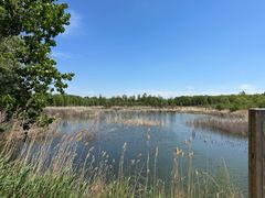 -野鸭湖国家湿地公园