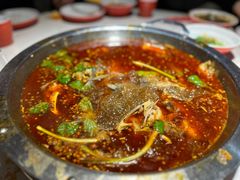 -蜀滋香鲜鱼美蛙火锅(339店)