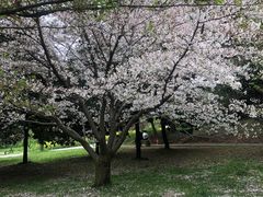 -苏州上方山国家森林公园