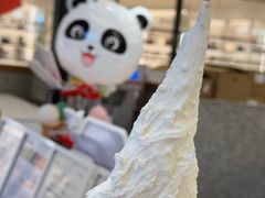 -野人先生Gelato(上海长宁龙之梦店)