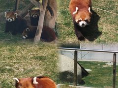 -水上乐园·欢乐世界