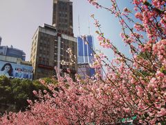 -南京路步行街