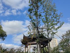 -和平公园