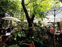 -Fern Forest Cafe