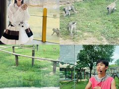 -杭州野生动物世界