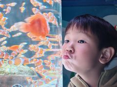 -海合安成都极地海洋公园