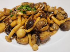-老绍兴养和饭店(向阳不夜城店)