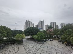 -海鸥岛