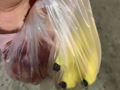 -百果园PAGODA(米兰公寓店)