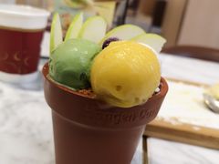 -哈根达斯(西安北郊店)