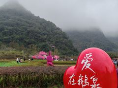 -靖西鹅泉风景区