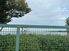 -阳澄湖半岛旅游度假区