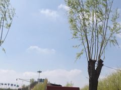-北戴河集发农业梦想王国