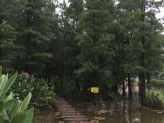 -重庆彩云湖湿地公园