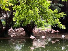 -九龙公园
