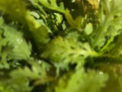 -晓宇重庆火锅(西安荟聚店)
