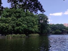 -荔湾湖公园