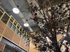 -Cafe Alice咖啡爱丽丝(奥城店)