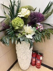 -紫洁俪方（北京）医疗美容