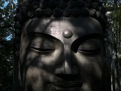 -杭州植物园