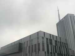 -杭州文化广播电视集团