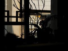 -知亘茶食