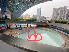 -南山文体中心-游泳馆