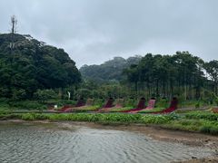 -广州市石门国家森林公园