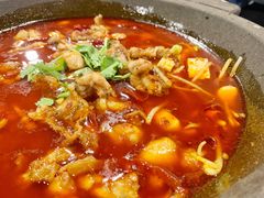 -虎虎龙虾大排档(双井店)