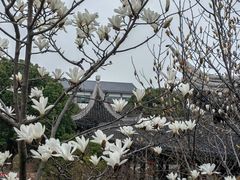 -万宝财富商业广场