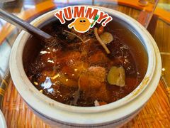 五指毛桃炖山坑螺猪骨汤-桃姐农庄老字号(增城分店)