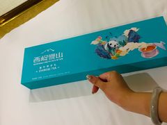 -西岭雪山大飞水景区