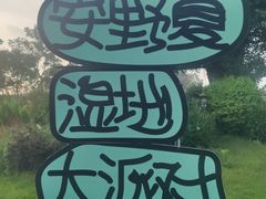 -三垟湿地