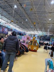 -爱丽丝奇幻乐园