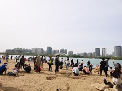 -天鹅湖体育公园
