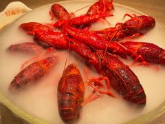 -红盔甲·小龙虾(定西路店)