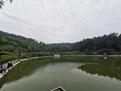 -铁山坪森林公园