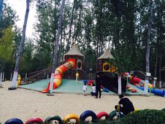 -合肥滨湖国家森林公园