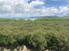 -盐洲岛
