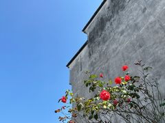 -乌镇东栅景区