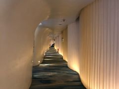 -深圳东部华侨城瀑布酒店