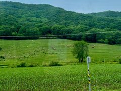 -帽儿山风景区