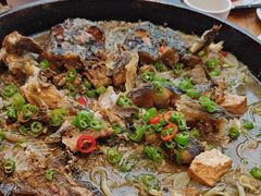 -老板恋上鱼(恒隆广场店)