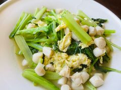 -前海沿·青岛菜(大拇指广场石老人店)