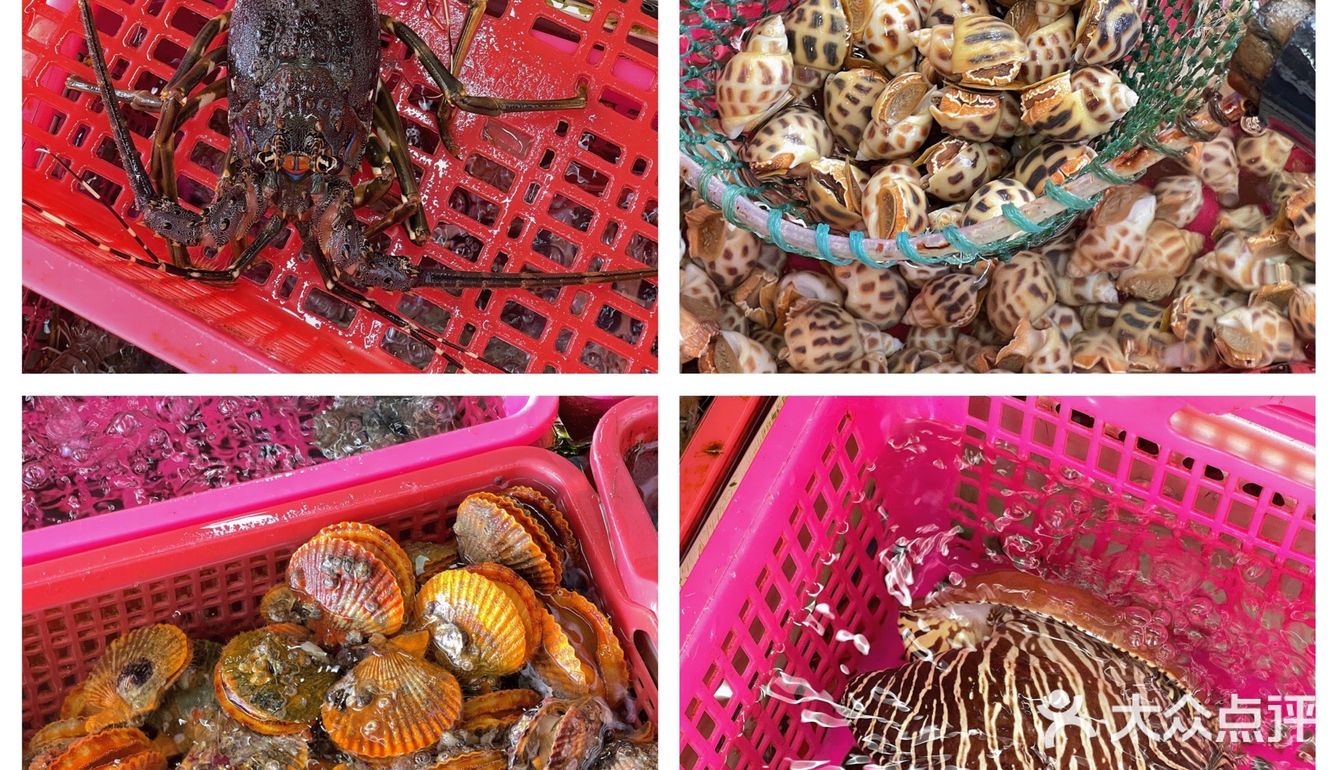 南澳岛不踩雷海鲜大排档🦞配炒冰好绝‼️