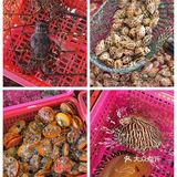 南澳岛不踩雷海鲜大排档🦞配炒冰好绝‼️