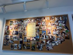 -翊宠yipet猫狗购宠庄园犬舍•猫舍