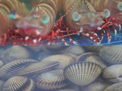 -三亚火车头万人海鲜广场