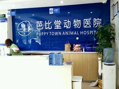 -芭比堂动物医院·24小时·眼科中心(深圳中心)