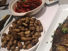 -眉州东坡(团结湖店)